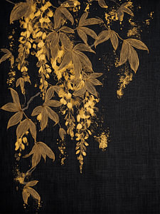 Goldregen (Laburnum) auf dunklem Leinenhintergrund