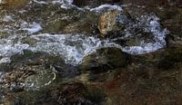 Ruisseau de montagne