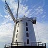 Die Blennerville Windmühle von Babetts Bildergalerie