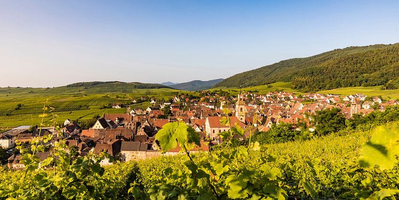 Village viticole de Riquewihr en Alsace par Werner Dieterich