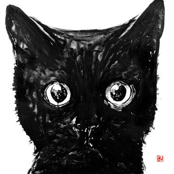 black cat