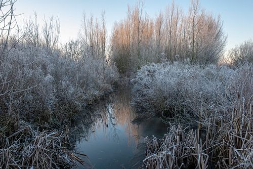 Herbstlandschaften Estate Her Pillars, Utrecht