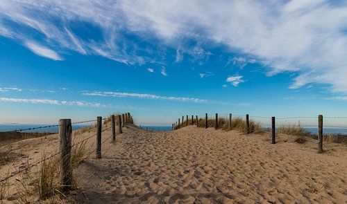 The road to the beach ...