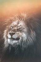 The King's Grind