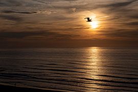 Sonnenuntergang von marleen springael