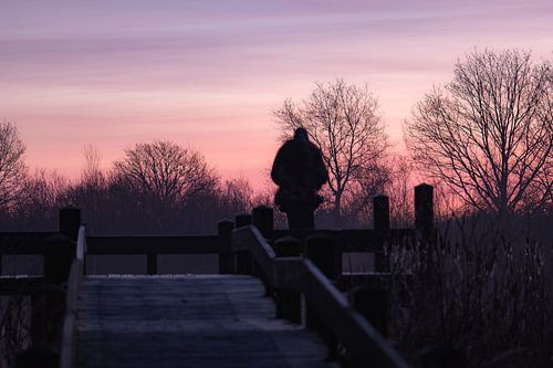pink sky