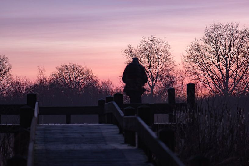 pink sky by Tania Perneel