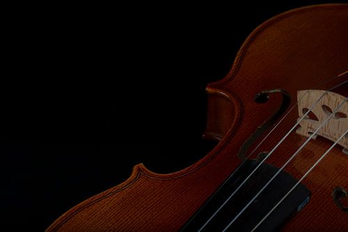 Violin in the dark