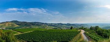 Germany, XXL landscape panorama of Kaiserstuhl mountains by adventure-photos