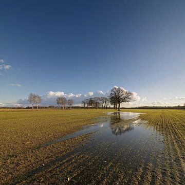 Folgen Sie dem Wasser von Martijn Schornagel