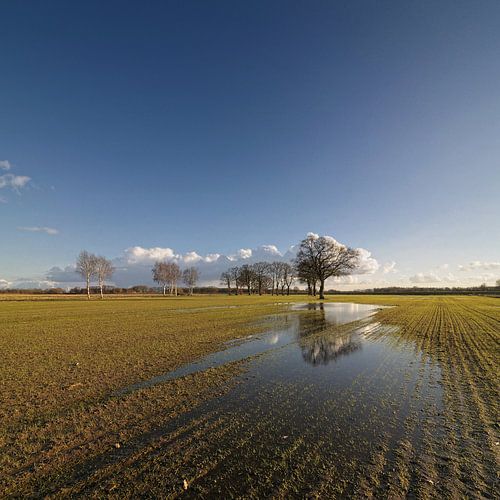 Suivez l'eau