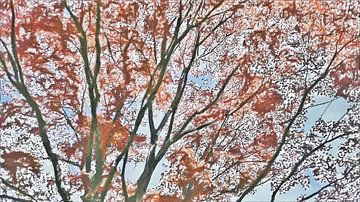 Frühling und Herbst roter Baum - Natur - Digitale Kunst von Dicky