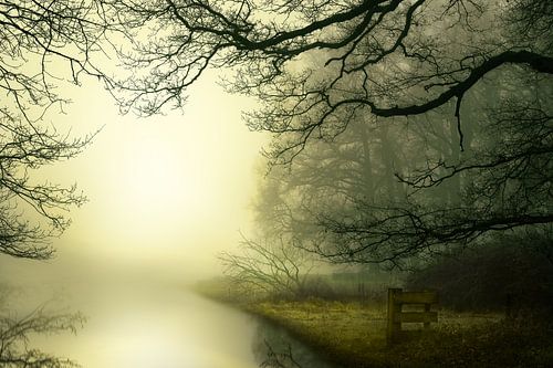 Waiting For A Sunny Day