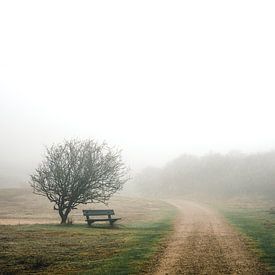 Ruhe und Frieden in Oranjezon von Joren van den Bos