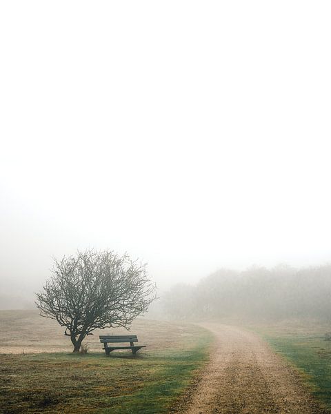 Rust in Oranjezon van Joren van den Bos