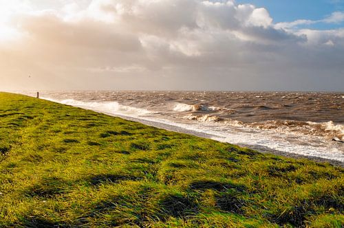 Storm op de dijk