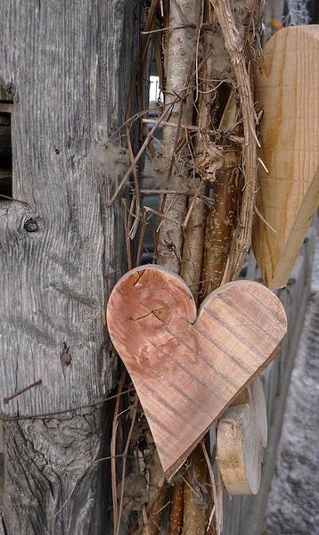 heart of wood by Hanneke Bantje