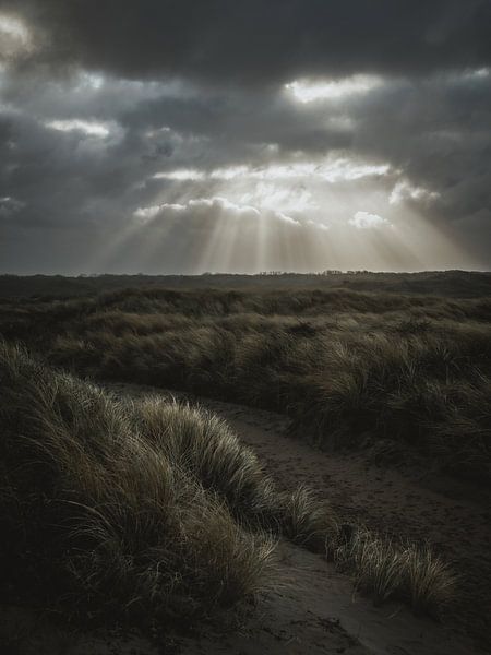 Dunes with threatening grey sky by Dirk van Egmond