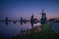 Proudly we stand in full glory