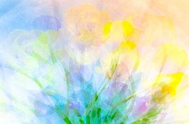 Spring Fantasy by Enna Butte