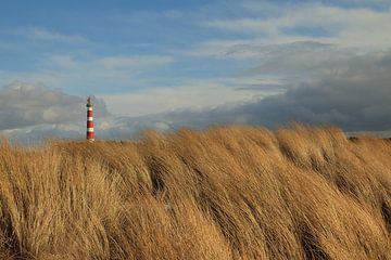 Leuchtturm von Ameland von Rinnie Wijnstra