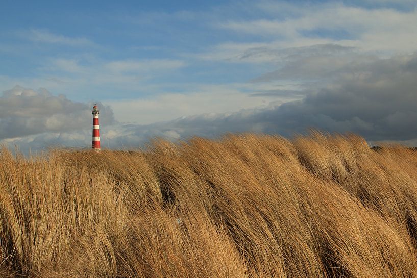 Leuchtturm von Ameland von Rinnie Wijnstra (FotoAmeland )