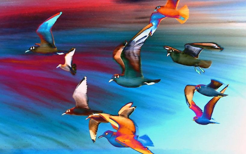 Seagulls by Jacky
