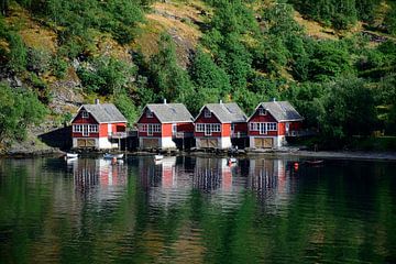 Sunny boathouses by Frank's Awesome Travels