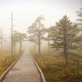 Weg in de mist van Marco Matznohr