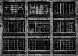 Geometrie Nr. 15 – Alte Filmversion von The Learning Curve Photography