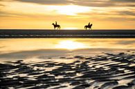 Paardrijden aan de Zeeuwse kust van Paula Romein thumbnail