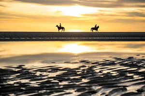 Équitation sur la côte zélandaise