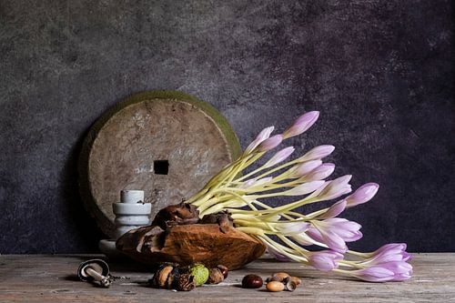 Boeket met herfstkrokus