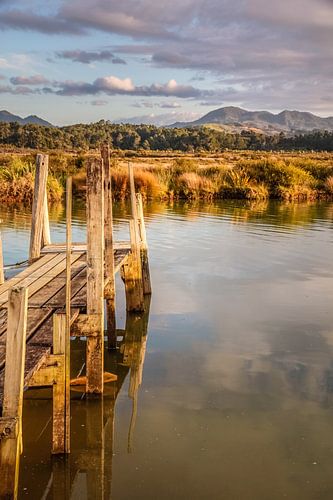 Côte et jetée dans le port de Coromandel, Nouvelle-Zélande sur Christian Müringer