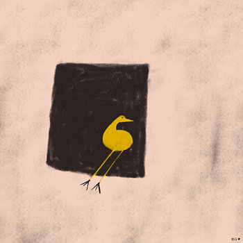 Oiseau en vedette