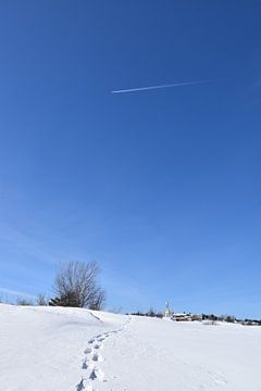 Sneeuwschoenbanen in de sneeuw onder een blauwe hemel van Claude Laprise