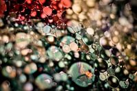 Bubblelook