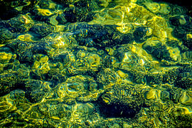 Abstract Underwater World by Dieter Walther