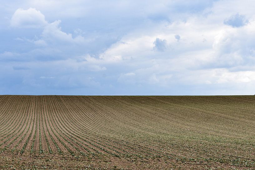 Akker landschap von Gonnie van Hove