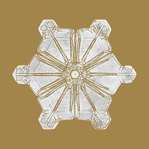 Crystal on ocher yellow V by Mad Dog Art