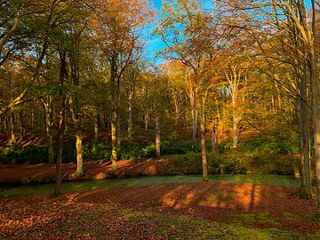 Couleurs d'automne à Elstwout sur Apple Brenner