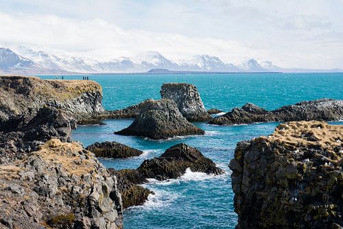 Rotsformaties bij de kust van Snaefellsnes in IJsland