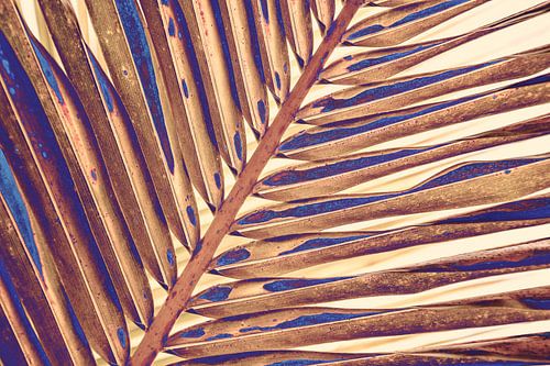 Golden Palm Leaf