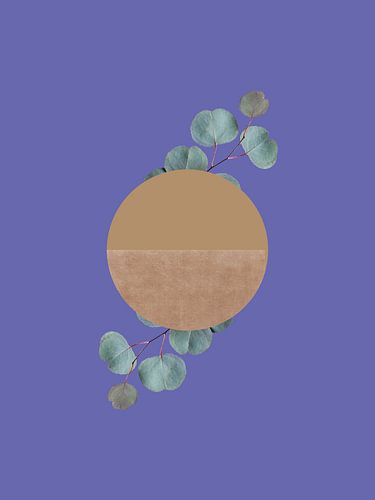 Natuur Cyclus Zeer Peri