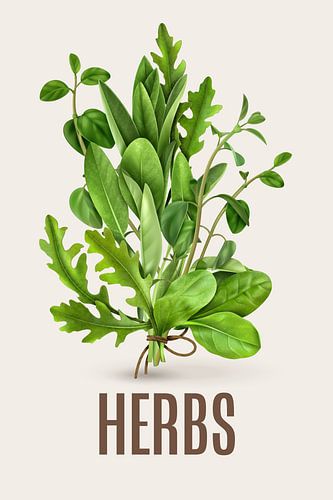 Herbs Kitchen Poster