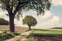 Groesbeek
