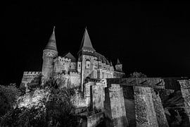 Hunedoara Castle by Roland Brack