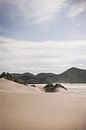 Cape Farwell: The Northern Tip of New Zealand by Ken Tempelers thumbnail