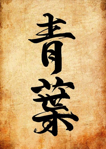Japanse kalligrafiekunst van Pus Meong Art