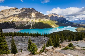 Lake Peyto in the Rocky Mountains by Roland Brack